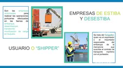 Se trata del 
Cargador, quien es 
el exportador o el 
importador 
responsable del 
embarque de la 
mercancía que 
suscribe el