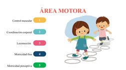 ÁREA MOTORA
Control muscular
1
3
Locomoción
2
Coordinación corporal
4
Motricidad fina
5
Motricidad perceptiva
