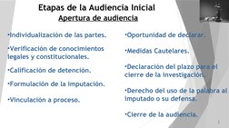 Etapas de la Audiencia Inicial Penal | PDF | Mandato | Detención ...