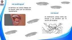  vía sublingual
el fármaco se coloca debajo de 
la lengua, para que se absorba 
rápidamente.
vía bucal
el medícame coloca ent