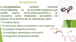 Escopolamina
La escopolamina, 
también 
conocida 
como hioscina, 
es 
un alcaloide tropánico que 
puede 
usarse 
como antimus