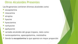 Otros Alcaloides Presentes
Las Brugmansias contienen diversos alcaloides como:
escopolamina
nioscamina
atropina
hyocine
