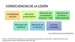 CONSECUENCIAS DE LA LESIÓN
Inestabilidad 
articular
Alteración 
propioceptiva
Alteración de 
la activación 
muscular - AMI
Al