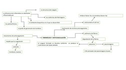 FIBRINÓLISIS Y ANTICOAGULACIÓN 
La eficiencia de la fibrinólisis es altamente
influenciada por:
la estructura del coágulo
las