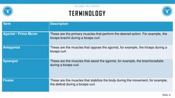 TERMINOLOGY
B E C O M E  T H E  E XP E R T
Term
Description
Agonist / Prime Mover
These are the primary muscles that perform