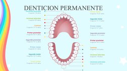 DENTICION PERMANENTE
