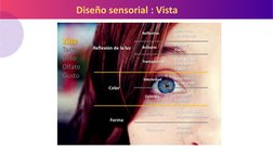 Diseño sensorial : Vista  

