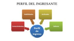 PERFIL DEL INGRESANTE
