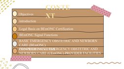 BEmONC and CEmONC Overview and Training | PDF | Childbirth | Postpartum ...