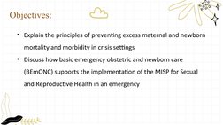 BEmONC and CEmONC Overview and Training | PDF | Childbirth | Postpartum ...