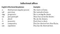 Inflectional affixes
