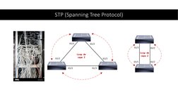 STP (Spanning Tree Protocol)
