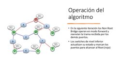 Operación del 
algoritmo
• En la siguiente iteración los Non Root 
Bridge operan en modo forward y 
reenvían la trama recibid