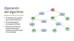 Operación 
del algoritmo
• Se bloquean los puertos 
que no sean Root port
• Se ha alcanzado la 
convergencia (Árbol).
• Cada