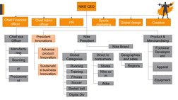 nikes organisational structure