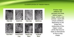 Fingerprint Pattern Examples Fragmentary Ridges Fingerprint Pattern Classification Guide | PDF | Fingerprint