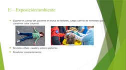 E—Exposición/ambiente
Exponer el cuerpo del paciente en busca de lesiones, luego cubrirlo de inmediato para 
conservar calor