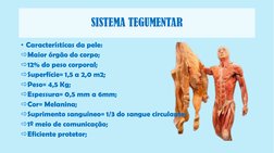 SISTEMA TEGUMENTAR
• Características da pele:
Maior órgão do corpo;
12% do peso corporal;
Superfície= 1,5 a 2,0 m2;
Peso=