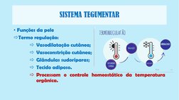 SISTEMA TEGUMENTAR
• Funções da pele
Termo regulação:
Vasodilatação cutânea;
Vasoconstrição cutânea;
Glândulas sudorípara