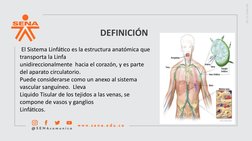 DEFINICIÓN
 El Sistema Linfático es la estructura anatómica que 
transporta la Linfa 
unidireccionalmente  hacia el corazón,