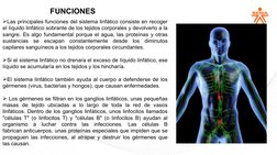 FUNCIONES
Las principales funciones del sistema linfático consiste en recoger 
el líquido linfático sobrante de los tejidos