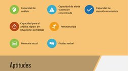 Aptitudes
Capacidad de 
análisis
Capacidad de alerta 
y atención 
concentrada
Capacidad de 
atención mantenida
Capacidad para