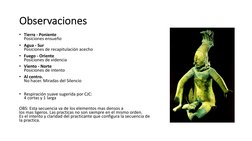 Observaciones
• Tierra - Poniente
Posiciones ensueño
• Agua - Sur
Posiciones de recapitulación acecho
• Fuego - Oriente
Posic