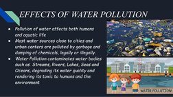 EFFECTS OF WATER POLLUTION
●
Pollution of water affects both humans 
and aquatic life
●
Most water sources close to cities an