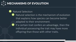 MECHANISMS OF EVOLUTION
Natural Selection
Natural selection is the mechanism of evolution 
that explains how species can beco