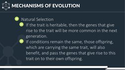 MECHANISMS OF EVOLUTION
Natural Selection
If the trait is heritable, then the genes that give 
rise to the trait will be more