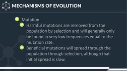 MECHANISMS OF EVOLUTION
Mutation
Harmful mutations are removed from the 
population by selection and will generally only 
be