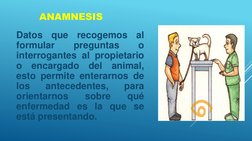 ANAMNESIS
Datos
que
recogemos
al
formular
preguntas
o
interrogantes al propietario
o
encargado
del
animal,
esto permite enter