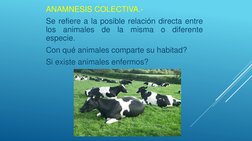 ANAMNESIS COLECTIVA.-
Se refiere a la posible relación directa entre
los
animales
de
la
misma
o
diferente
especie.
Con qué an