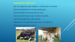 ANAMNESIS AMBIENTAL.-
Son los aspectos que rodean o influencian al animal.
Tipo de explotación a la que pertenece.
Enfermedad