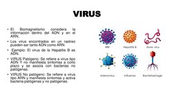 VIRUS
• El
Biomagnetismo
considera
la
información dentro del ADN y en el
ARN.
• Los virus encontrados en un rastreo
pueden se
