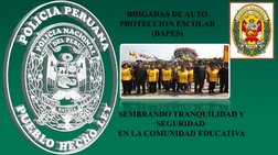 BRIGADAS DE AUTO 
PROTECCION ESCOLAR 
(BAPES)
SEMBRANDO TRANQUILIDAD Y 
SEGURIDAD 
EN LA COMUNIDAD EDUCATIVA
