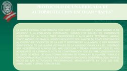 PROTOCOLO DE UNA BRIGADA DE 
AUTOPROTECCION ESCOLAR “BAPES”
 
LA BAPES ESTARÁ CONFORMADA CON DIEZ (10) INTEGRANTES COMO MÍNIM