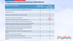 Asignaciones Carrera Docente
Municipales y 
Servicios Locales
Particular 
Subvencionados y 
Adm. Delegada
Remuneración Básica