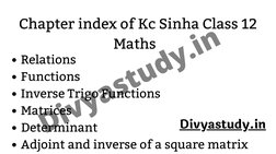 K.C. Sinha Class 12 Maths Solutions PDF | PDF