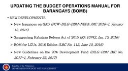 Barangay Budget Operations Manual 2024 | PDF | Taxes | Hospital