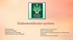 Endomembrane system
Submitted to-
Dr. Jyoti Prakash
Department of Zoology
Central University of Punjab
Submitted by- Preeti S
