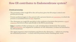 How ER contributes to Endomembrane system?
Protein processing-
• The proximity of the rough ER to the cell nucleus gives the