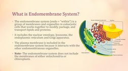 What is Endomembrane System?
• The endomembrane system (endo = “within”) is a 
group of membranes and organelles in eukaryoti