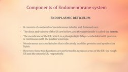 Components of Endomembrane system
ENDOPLASMIC RETICULUM
•
It consists of a network of membranous tubules and flattened sacs.