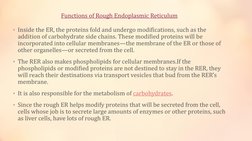 Functions of Rough Endoplasmic Reticulum
• Inside the ER, the proteins fold and undergo modifications, such as the 
addition