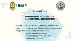 Docente          : Lic. Enf. Guiomar E. REATEGUI DE REYNA, Mgr
Curso               :  Enfermería en salud del adulto y adulto