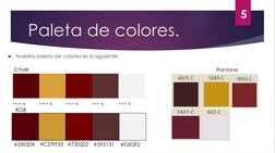 Paleta de colores. 
Nuestra paleta de colores es la siguiente: 
CYMK
RGB
#590209
#730202
#CD9933
#593131
#F2F2F2
Pantone
5
