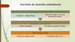Servicios de atención ambulatoria
Banco de leche ,terapia
Nutrición, trabajo social
Central de citas, CAA
Neumología , puesto