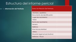 Estructura del informe pericial 
1.  Información del Peritado 
Datos De Filiación Del Peritado. 
Nombre y apellidos: 
Docume