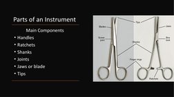 Parts of an Instrument
Main Components 
• Handles
• Ratchets
• Shanks
• Joints
• Jaws or blade
• Tips
